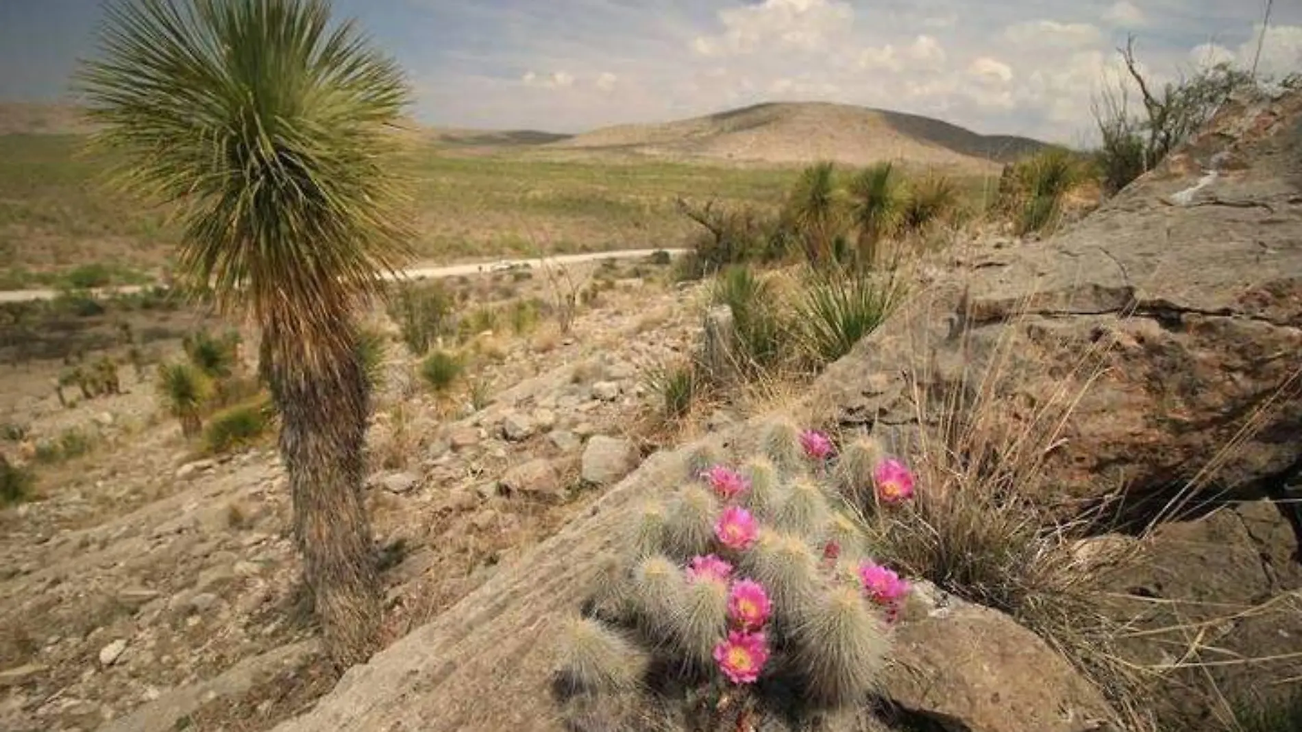 zona del silencio 2